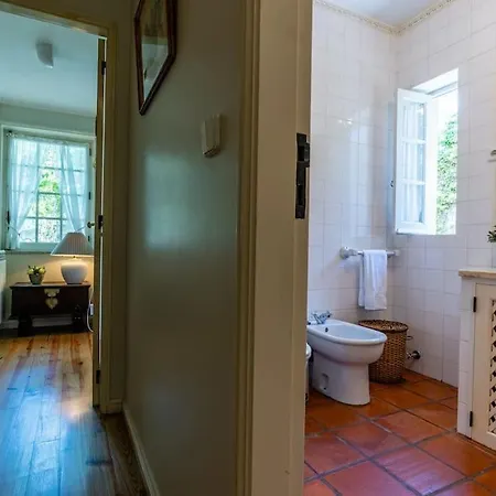 Holiday home Casa Do Picasso Country House Vila Praia de Ancora